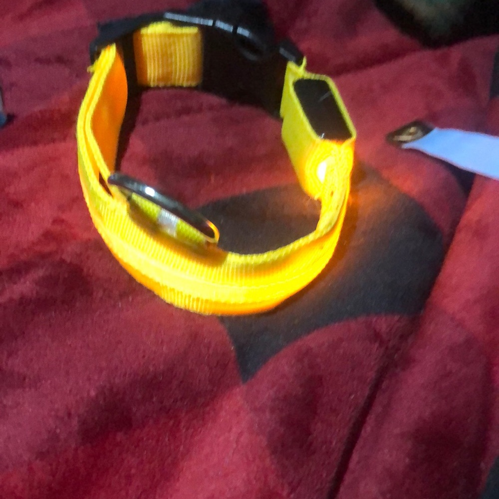 🛍Light up Dog collar with ring.‎